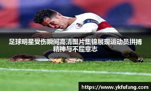8866体育官网